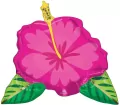 Balon foliowy Beautiful Tropical Hibiscus 63x68cm - tantis.pl