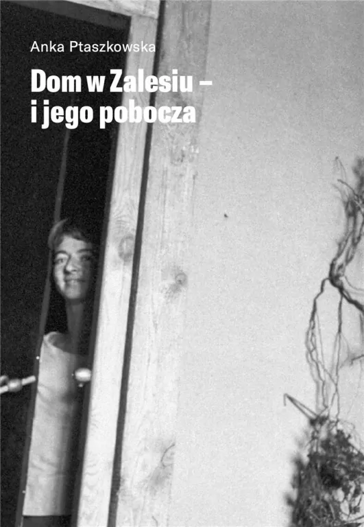 Dom w zalesiu i jego pobocza - tantis.pl