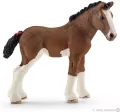 Źrebię rasy Clydesdale - tantis.pl