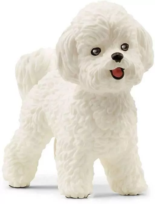 Pies Bichon Frise 13963 - tantis.pl