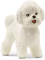 Pies Bichon Frise 13963 - tantis.pl
