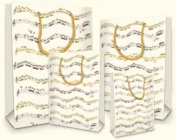 Torebka ozdobna BXS502C37B Musica mała