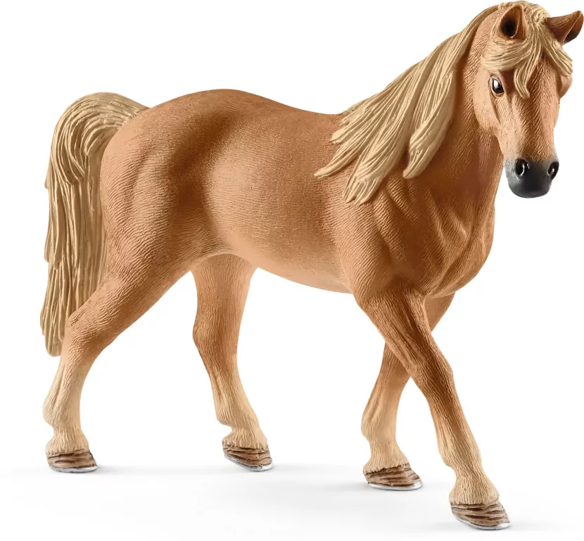 Klacz Rasy Tenessee Walker 13833 - tantis.pl