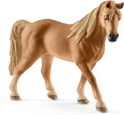 Klacz Rasy Tenessee Walker 13833