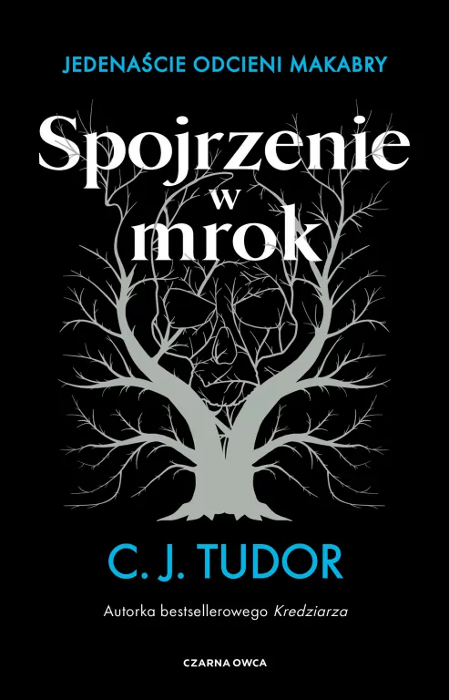 Spojrzenie w mrok. Jedenaście odcieni makabry - tantis.pl