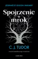 Spojrzenie w mrok. Jedenaście odcieni makabry - tantis.pl
