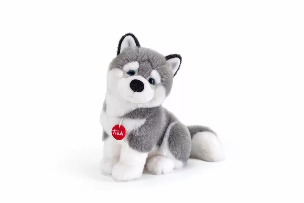 Piesek Husky - tantis.pl