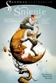 Ścieżki i wpływy. Śnienie. Sandman. Tom 1 - tantis.pl