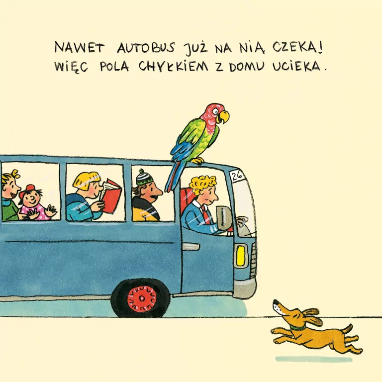 Pola z ulicy Czereśniowej - tantis.pl