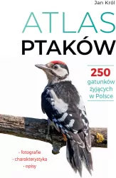 Atlas ptaków