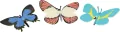 ZWIERZ MOTYL/ZABA 10X16 MIX MC PBH240/480 - tantis.pl