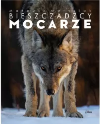 Bieszczadzcy mocarze. Wilk. Album