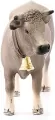 Krowa rasy brown swiss Farm World 13874 - tantis.pl