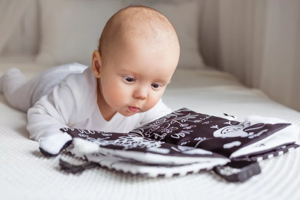 Książeczka sensoryczna Ogonki Zwierzaki - tantis.pl