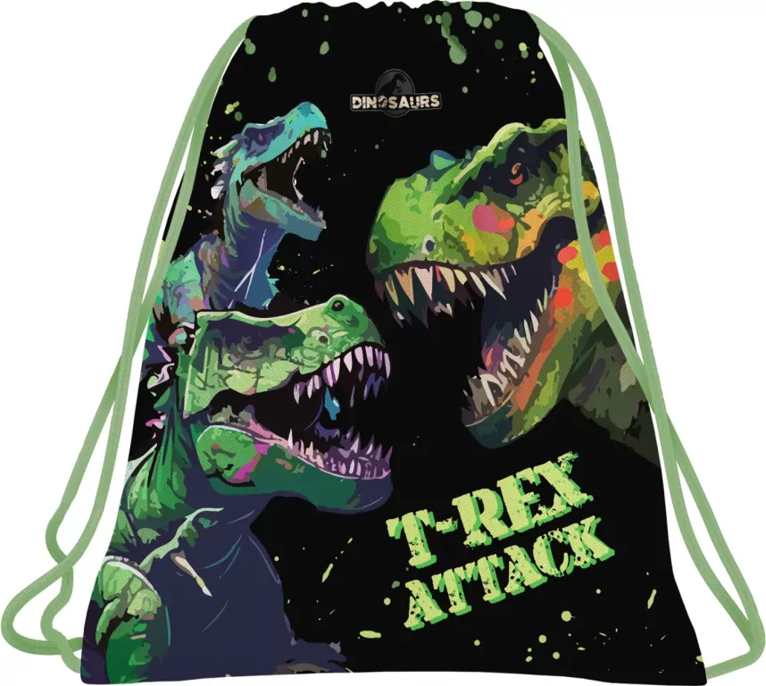 Worek na obuwie Dinozaur 20 DERFORM - tantis.pl