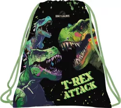 Worek na obuwie Dinozaur 20 DERFORM