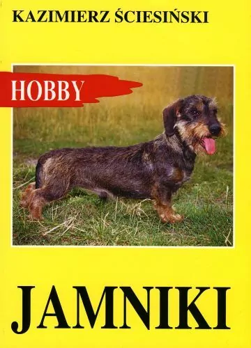 Jamniki - tantis.pl