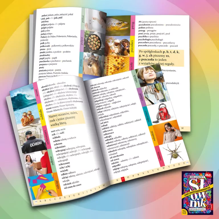 Obrazkowy słownik ortograficzny. Klasy 1-3 - tantis.pl