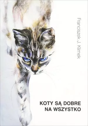 Koty są dobre na wszystko - tantis.pl