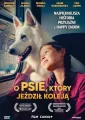 O psie, który jeździł koleją DVD - tantis.pl