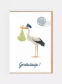 Karnet Narodziny - Bocian gratulacje - tantis.pl