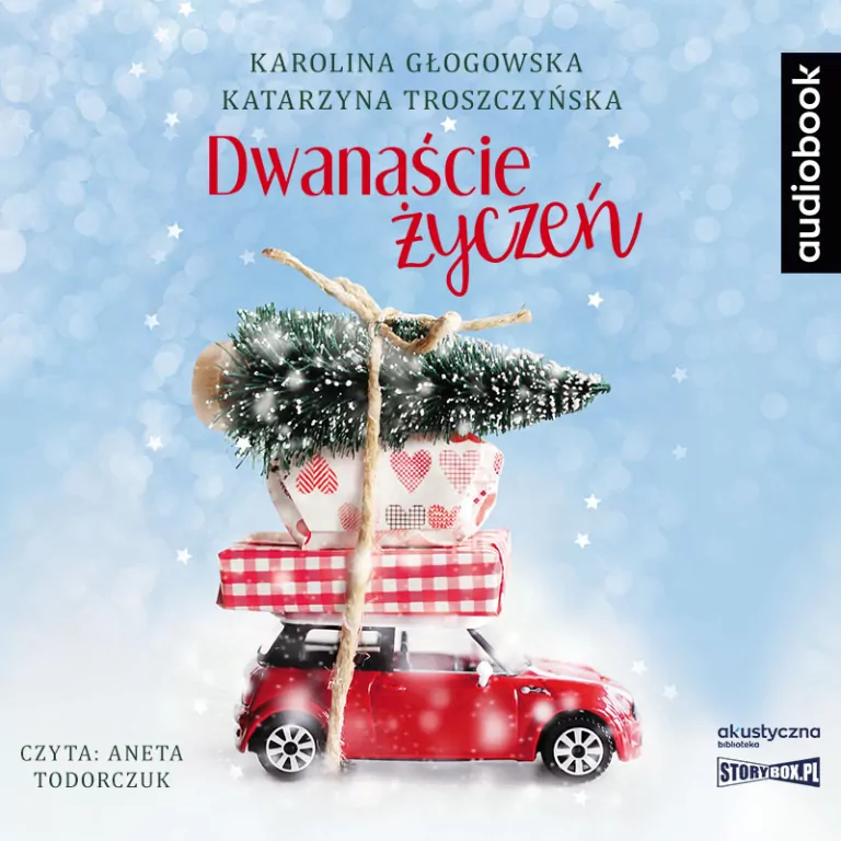 Dwanaście życzeń. Audiobook - tantis.pl