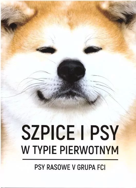 Szpice i psy w typie pierwotnym - tantis.pl
