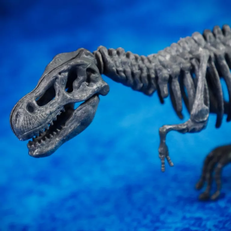 Laboratorium Paleontologii. I'm a genius - tantis.pl