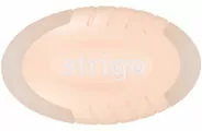 Magiczna gumka  STRIGO - tantis.pl