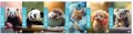 Zeszyt A4 Be More Baby linia 96 strony 100 g. 1szt.mix - tantis.pl