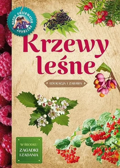 Krzewy leśne. Młody obserwator przyrody - tantis.pl