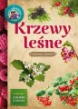 Krzewy leśne. Młody obserwator przyrody - tantis.pl