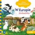 W Europie. Podwórko. Królik - tantis.pl
