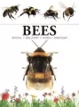 Bees - tantis.pl