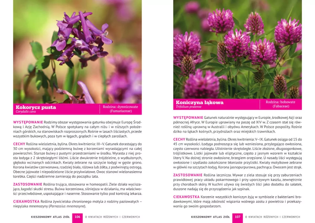 Kieszonkowy atlas ziół. 180 gatunków - tantis.pl