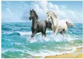 Mozaika diamentowa 5D - Konie 40x30cm - tantis.pl