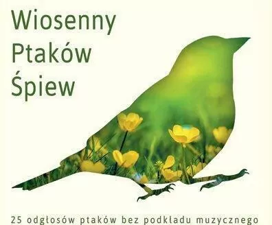 Wiosenny ptaków śpiew. Ptasi Śpiew bez podkładu muzycznego CD - tantis.pl