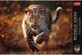Puzzle 1000. Dziki Leopard - tantis.pl