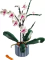 LEGO®. Botanical Collection. Orchidea. 10311 - tantis.pl