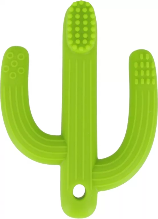 Gryzak dla dzieci szczoteczka. Kaktus - tantis.pl