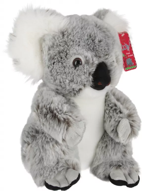 Koala australijski 25cm - tantis.pl