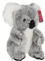 Koala australijski 25cm - tantis.pl