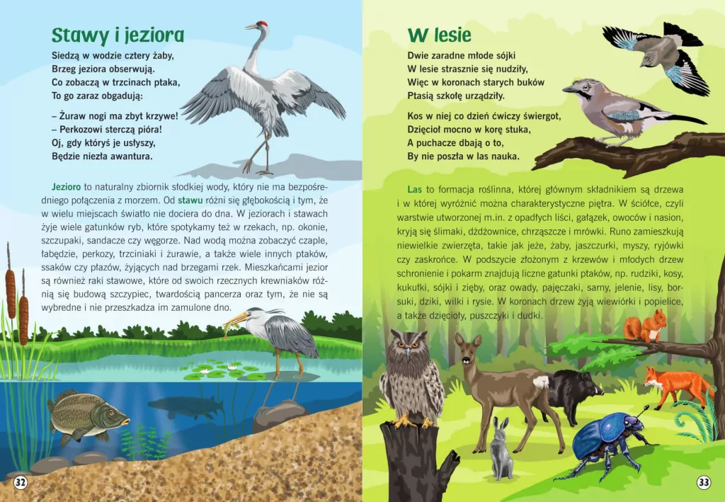 Moja przyroda. Domy zwierząt - tantis.pl