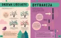 Encyklopedia STEM od A do Z. 100 naukowych słów... - tantis.pl