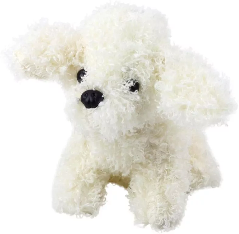 Pudel miniaturowy pluszowy biały 20cm - tantis.pl