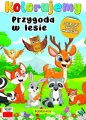 Kolorujemy. Przygoda w lesie - tantis.pl