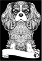Kolorowanka welwetowa A4 Cavalier King Charles... - tantis.pl