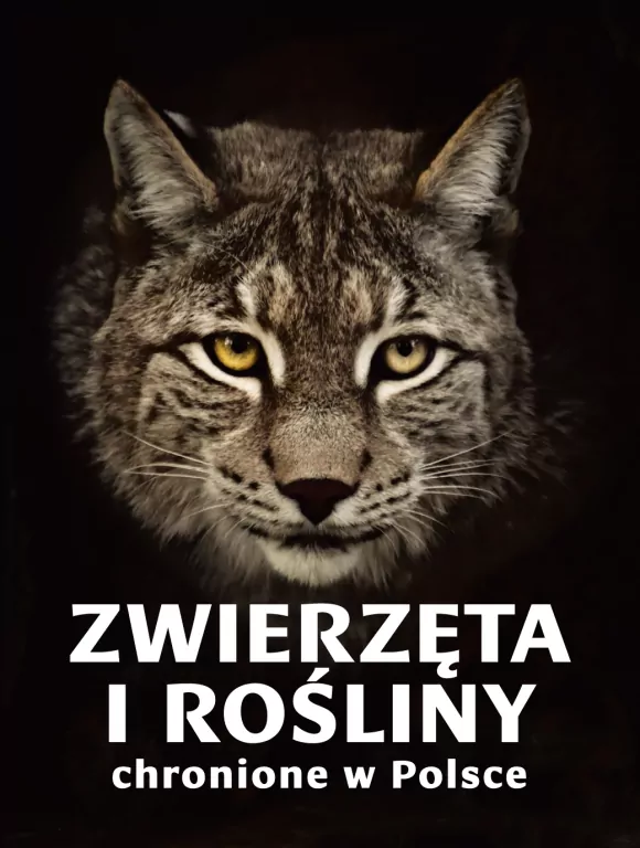 Zwierzęta i rośliny chronione w Polsce - tantis.pl