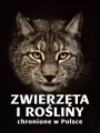 Zwierzęta i rośliny chronione w Polsce - tantis.pl