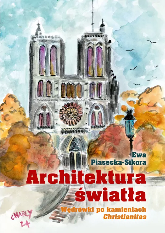Architektura światła. Wędrówki po kamieniach... - tantis.pl